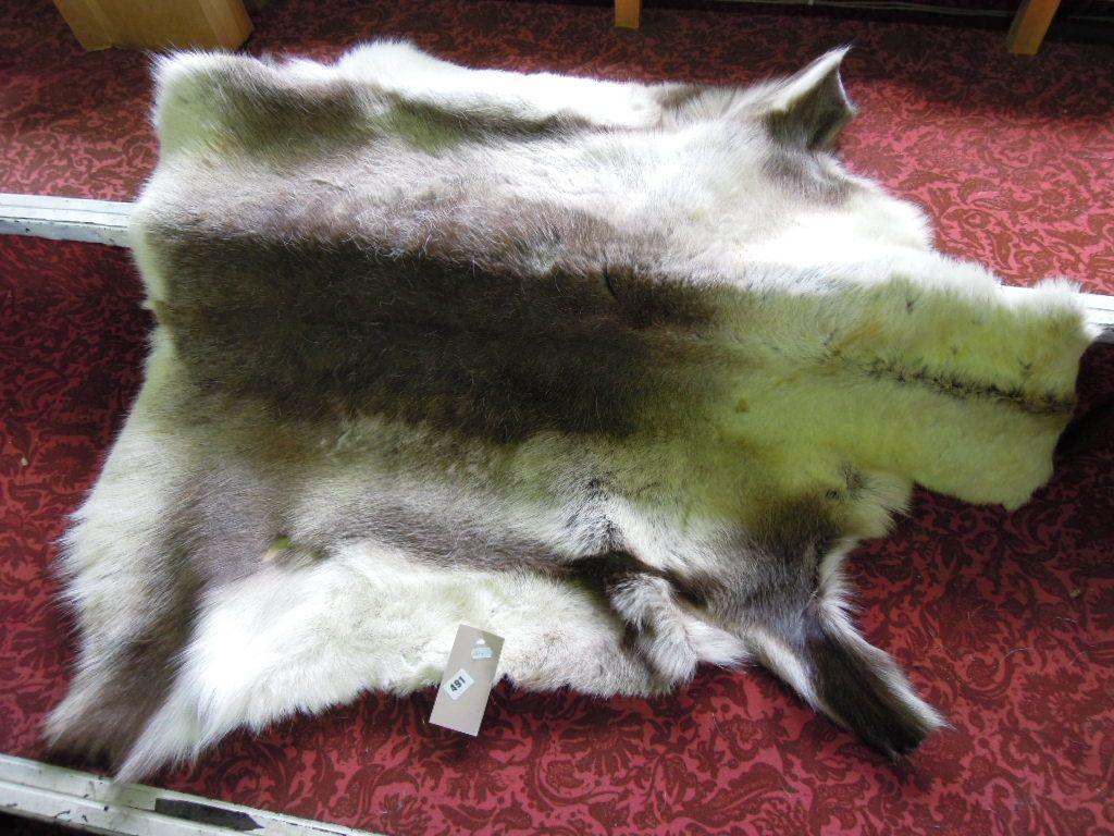 Appraisal: A reindeer skin rug