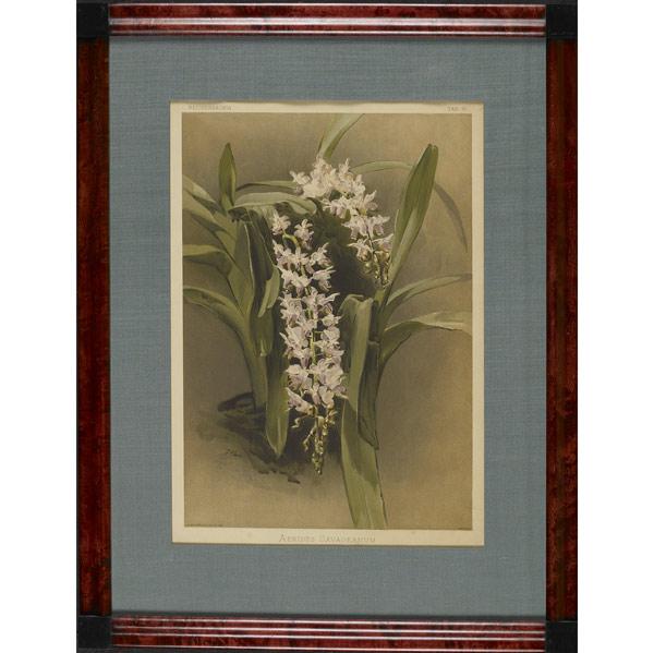 Appraisal: MIXED ART Grouping of four includes th C botanical framed