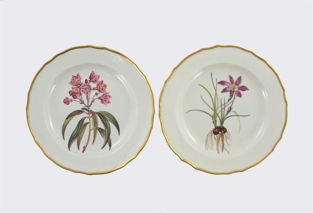 Appraisal: A pair of Derby botanical plates