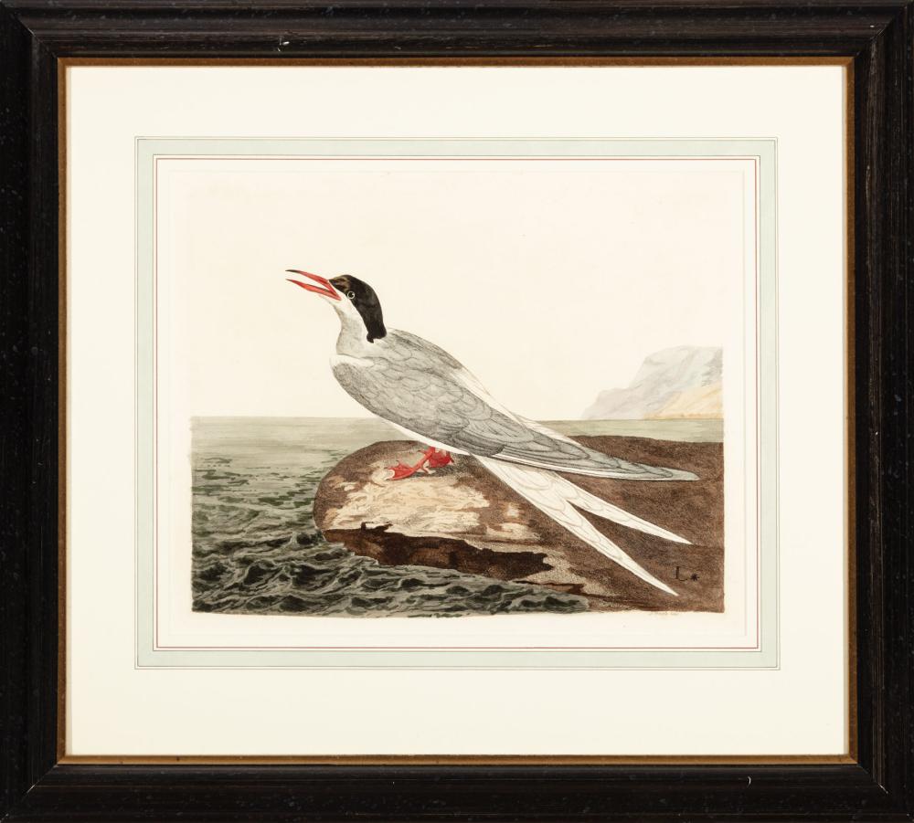 Appraisal: After Peter Paillou The Elder fl - The Heron and