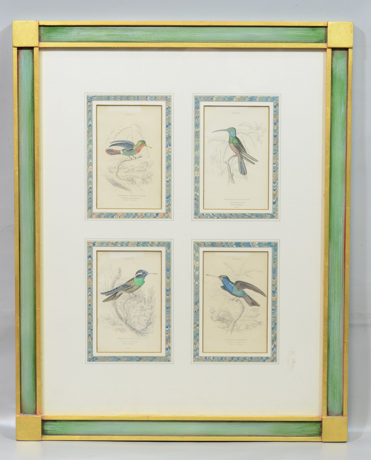 Appraisal: William Home Lizars Scottish - Hummingbirds Plates from Sir William