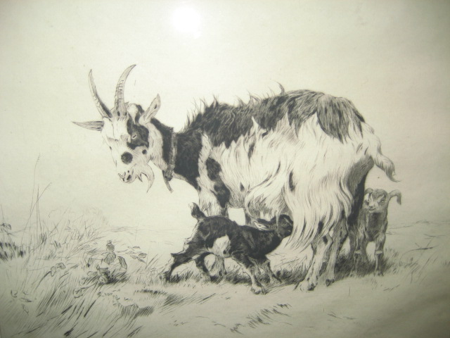 Appraisal: WINIFRED MARIE L AUSTIN - A Goat and Kids etching