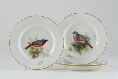 Appraisal: A set of four Royal Worcester ornithological plates each signed