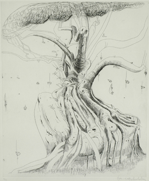 Appraisal: Brett Whiteley - Moreton Bay etching signed 'Brett Whiteley' lower