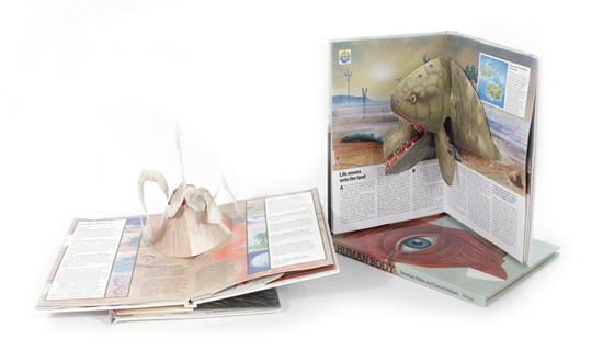 Appraisal: Children's educational pop-up books Hawkey Raymond EVOLUTION THE STORY OF