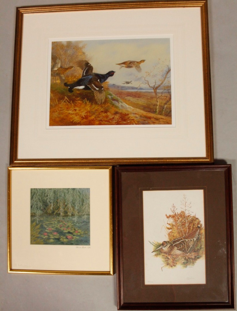 Appraisal: After Archibald Thorburn Grouse in a woodland clearing print numbered