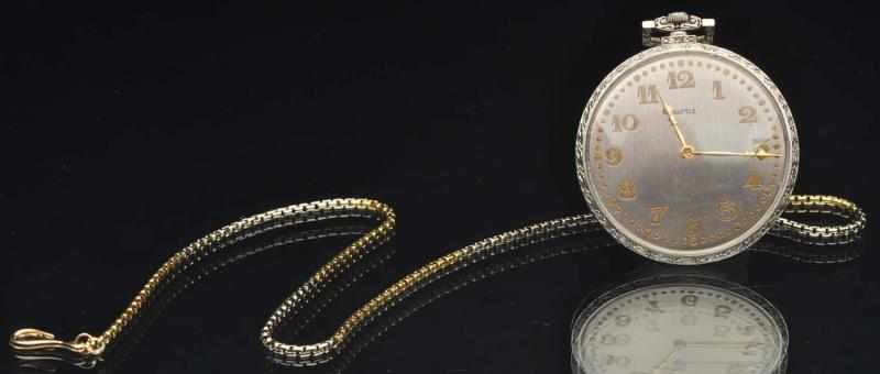 Appraisal: Platinum Gattle's Pocket Watch K Gold Chain Working condition jewels