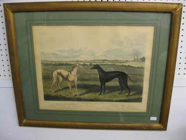 Appraisal: Greyhound Lithograph ''Waterloo Cup '' winner runner-up image area ''