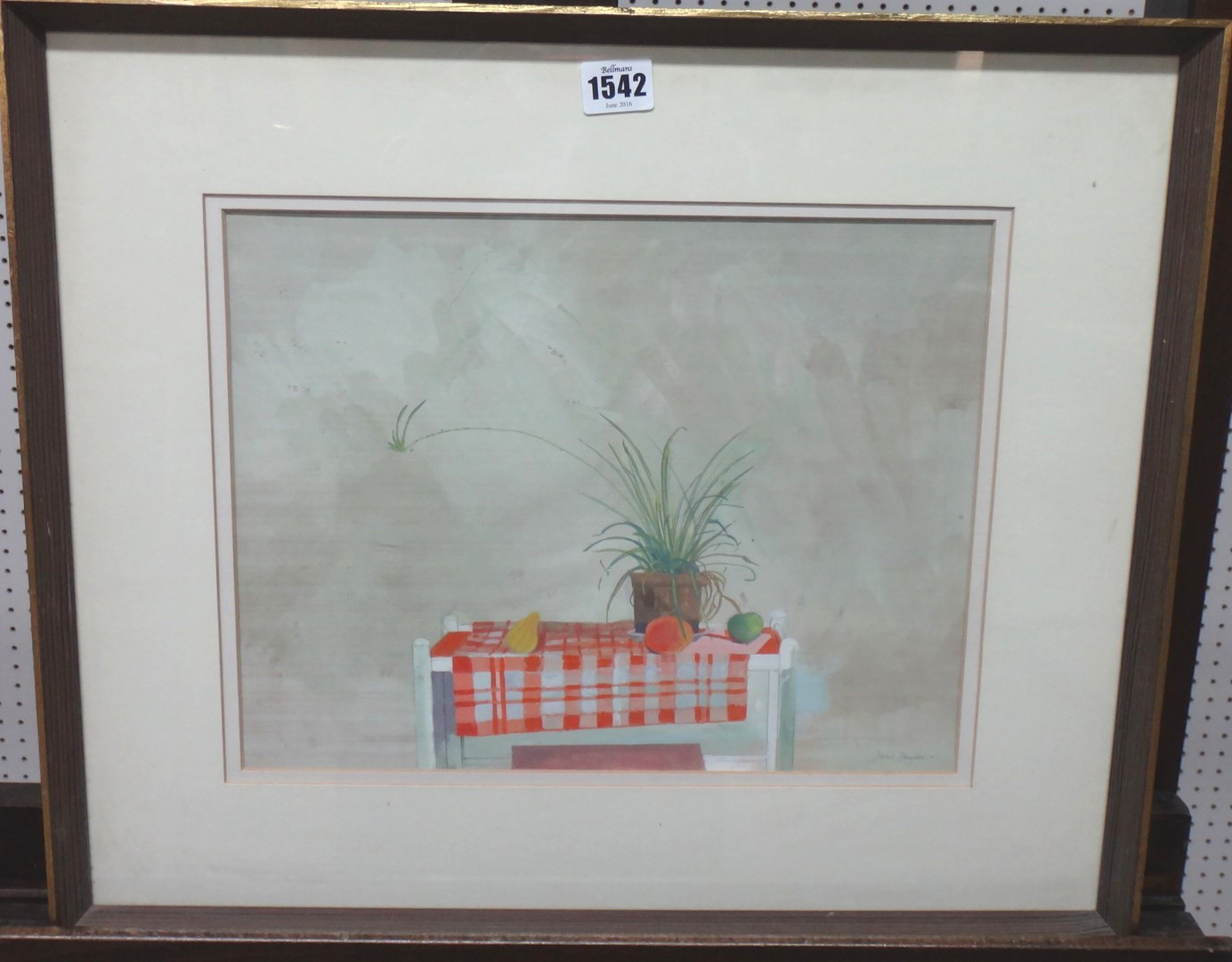 Appraisal: Jane Taylor th century Still life with spider plant gouache