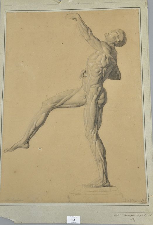 Appraisal: th Century Anatomical Study of Nude Male on Plinth signed