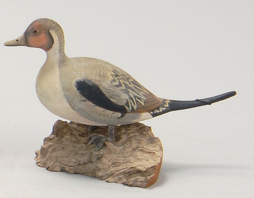 Appraisal: MINIATURE PINTAIL DRAKE Signed on base J Ahearn Mounted on