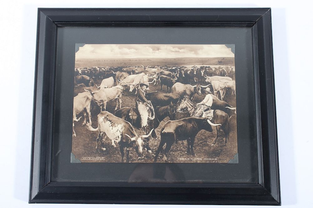 Appraisal: Texas Long Horns Photograph Print By W S Prettyman Offered