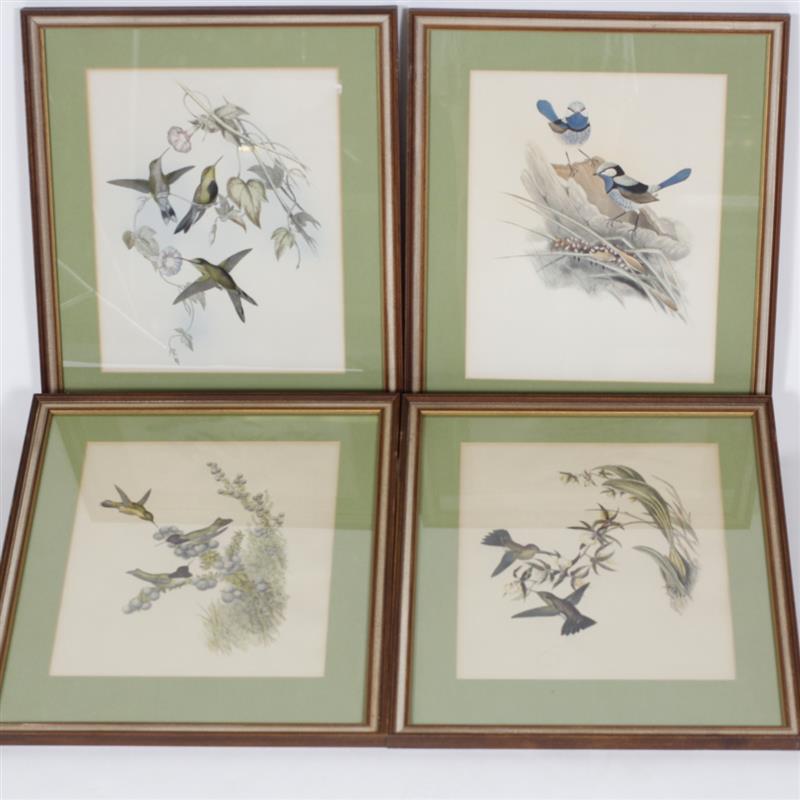 Appraisal: Set of four framed ornithological bird prints H x W