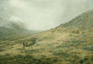 Appraisal: After Vincent R Balfour-Browne - - Stags in a highland