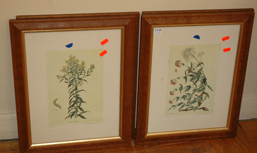 Appraisal: FOUR BOTANICAL FRAMED PRINTS