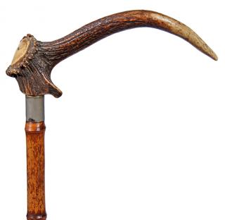 Appraisal: Gun Cane - Ca A stag handle which unscrews from