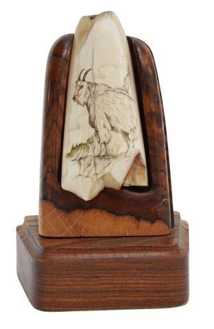 Appraisal: Scrimshaw walrus tusk depicting a mountain goat removable from the