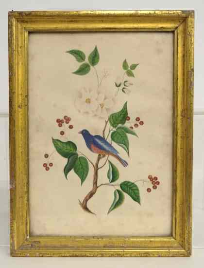 Appraisal: th c watercolor bird on branch in gilt frame Sight