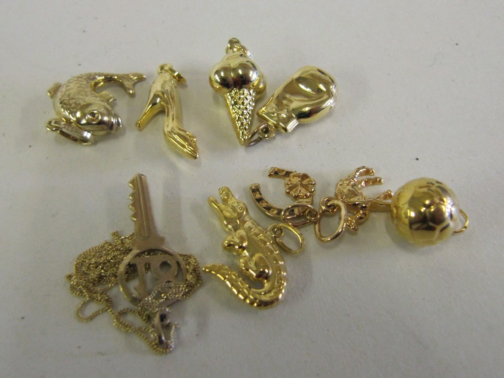 Appraisal: Nine various ct gold charms and a ct gold neckchain