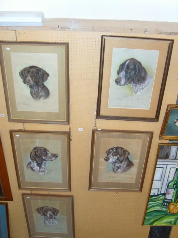 Appraisal: Five pastel portraits of German Short Haired Pointers by Marjorie