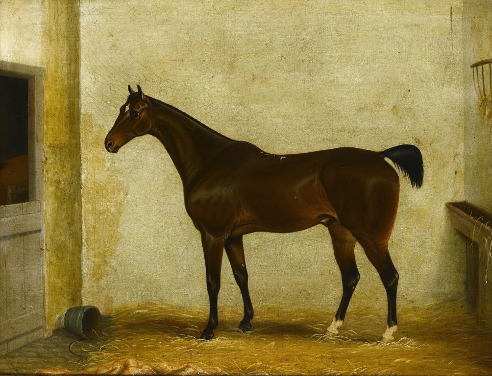 Appraisal: ENGLISH SCHOOL MID TH CENTURY PORTRAIT OF A CHESTNUT STALLION