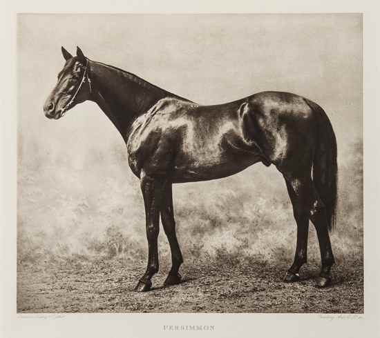 Appraisal: Spencer Edward The King's Racehorses number of copies on Japanese