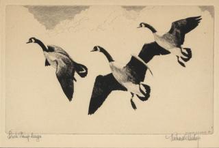 Appraisal: Richard E Bishop Two Prints Duck Stamp Design drypoint by