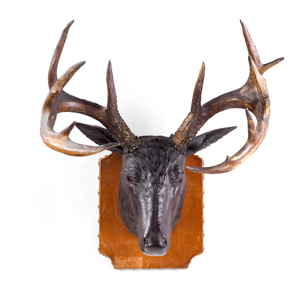 Appraisal: AMERICAN CARVED WALNUT WHITETAIL DEER HEAD WITH THIRTEEN POINT RACK