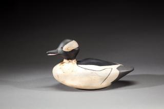 Appraisal: Calling Bufflehead Drake by Capt Gerald B Smith Calling Bufflehead