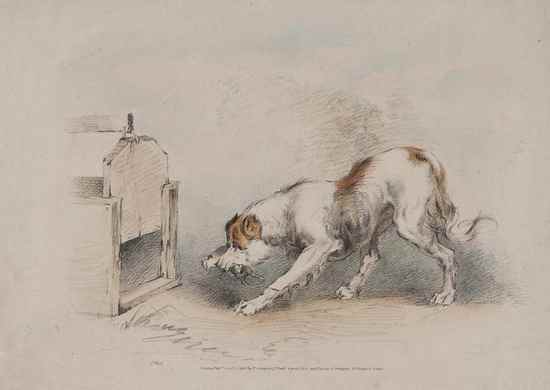 Appraisal: James Ward - A dog dispatching a rat out of