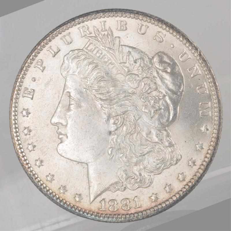 Appraisal: CC Morgan Silver Dollar MS