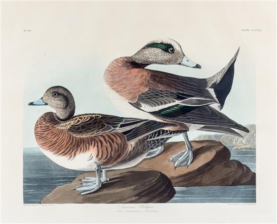 Appraisal: Sale Lot AUDUBON JOHN JAMES after HAVELL ROBERT American Widgeon