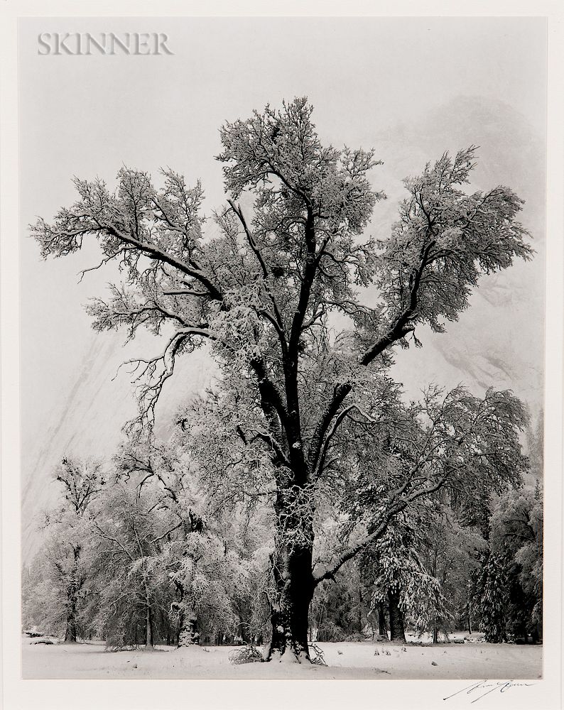 Appraisal: Ansel Adams American - Oak Tree Snowstorm Yosemite National Park