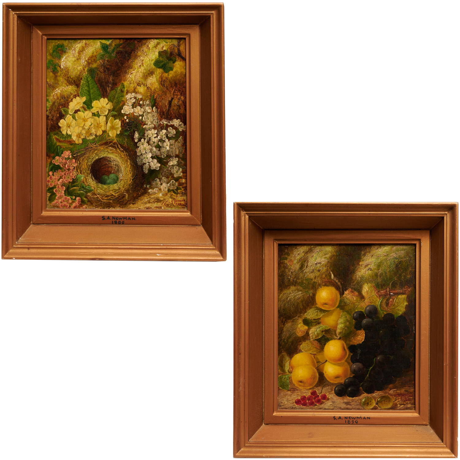 Appraisal: S A NEWMAN PAIR OF STILL LIFE PAINTINGS S A