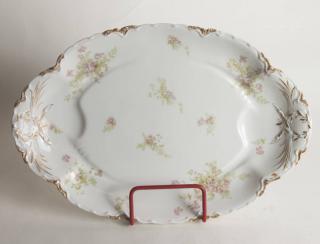 Appraisal: Limoges Platter x