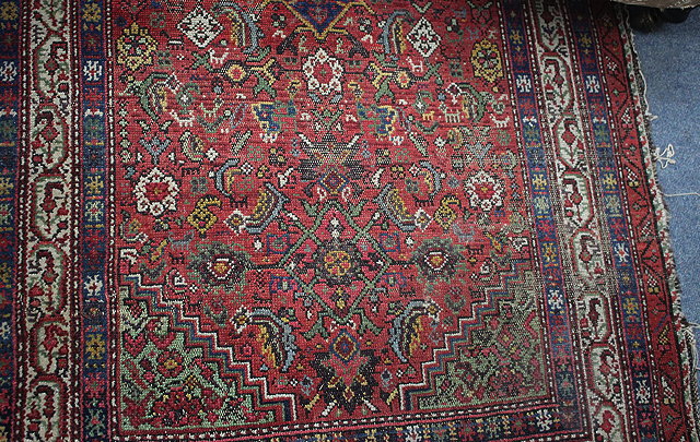 Appraisal: AN ANTIQUE PERSIAN RED AND BLUE GROUND RUG the banded