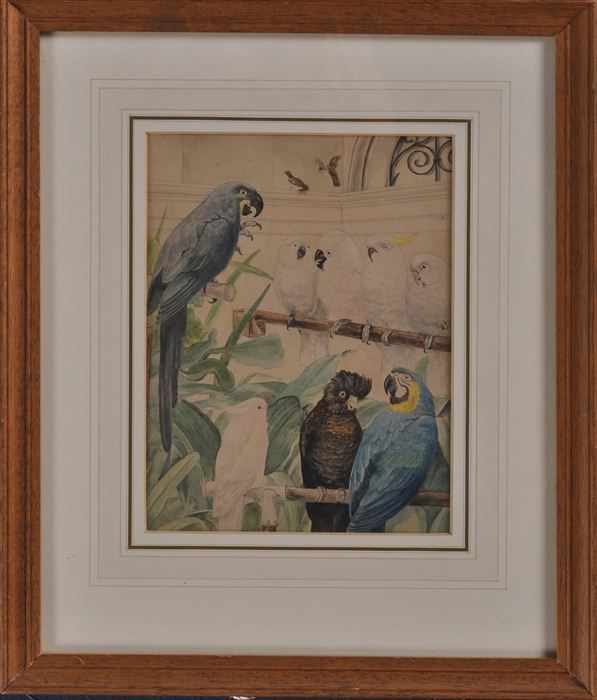 Appraisal: EUROPEAN SCHOOL TROPICAL AVIARY Watercolor on paper x in sight