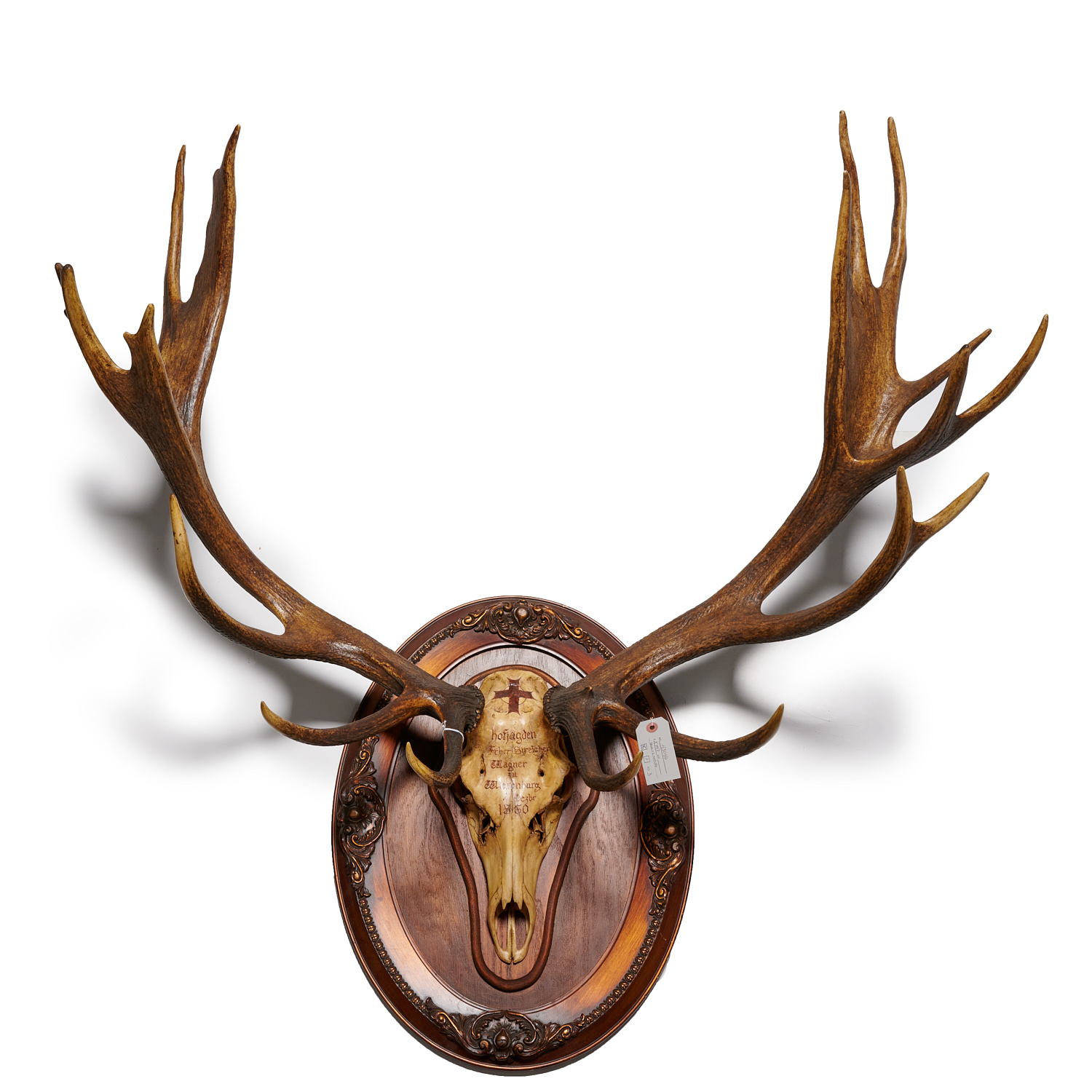 Appraisal: ROYAL HUNT STAG SKULL -POINT ANTLERS Huge antique rack and