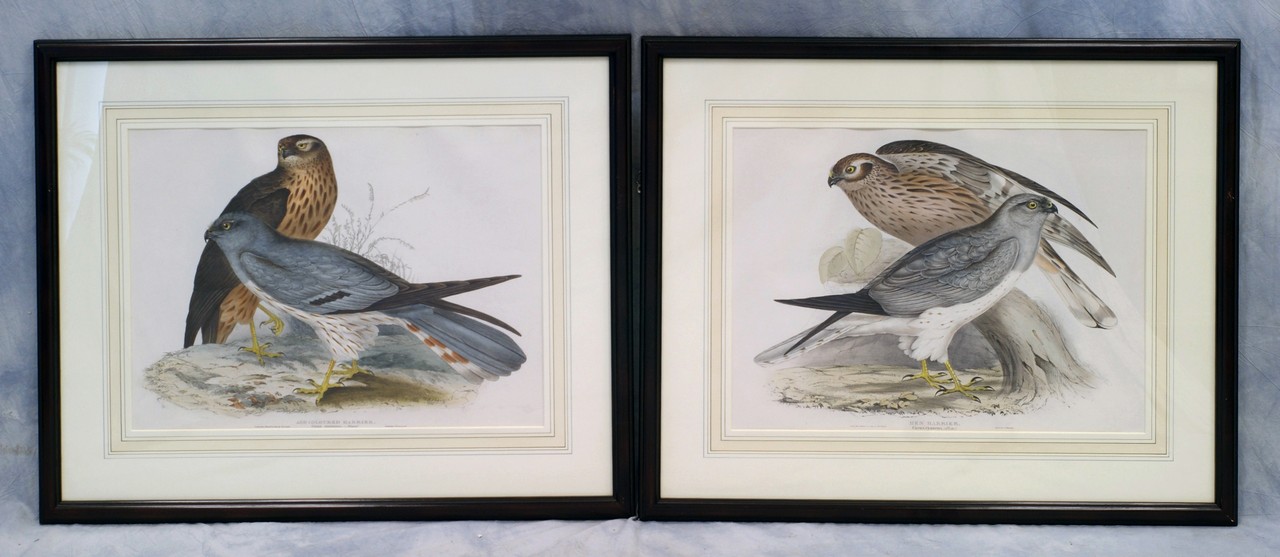 Appraisal: J E Gould British th c hand colored lithographs from