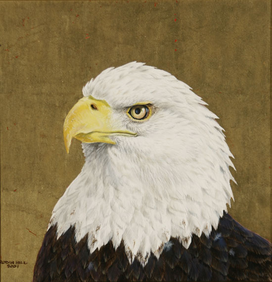 Appraisal: Robin Hill Australian b Bald Eagle Signed Robin Hill and