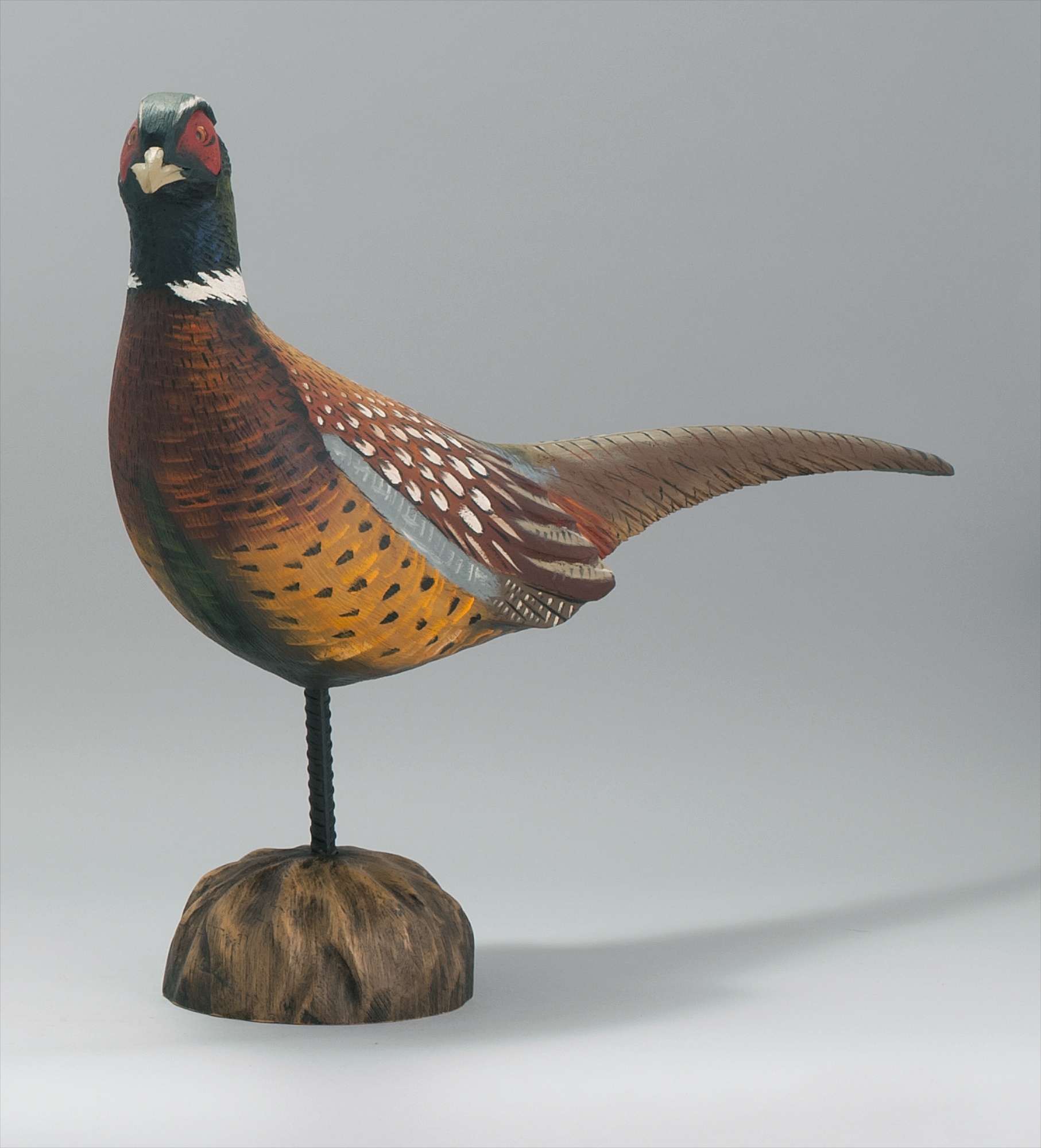 Appraisal: LIFE-SIZE MALE RING-NECK PHEASANT th CenturyBy Mike Borrett of Madison