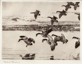 Appraisal: Frank W Benson - Tired Geese signed Frank W Benson