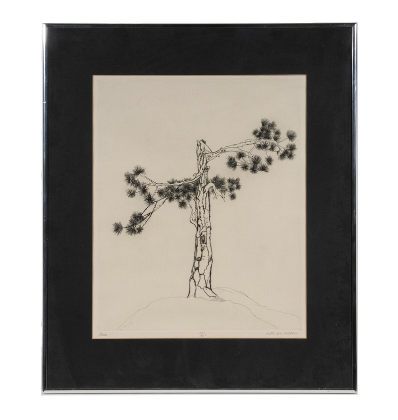 Appraisal: BETH VAN HOESEN CA - Pine etching pencil signed and