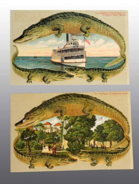 Appraisal: Lot of Florida Alligator Postcards Description Includes S S S