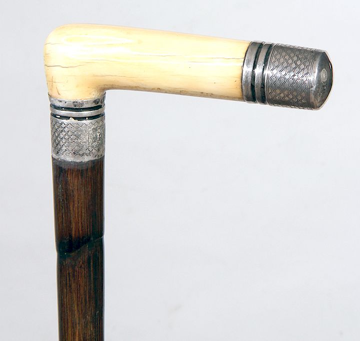 Appraisal: Walrus Ivory Cane Ca - Walrus ivory L-shaped handle with