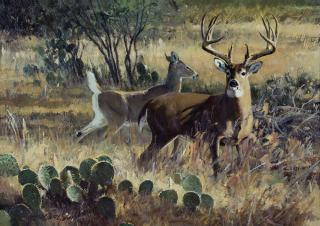 Appraisal: Texas Courtship by Ken Carlson Ken Carlson - oil on