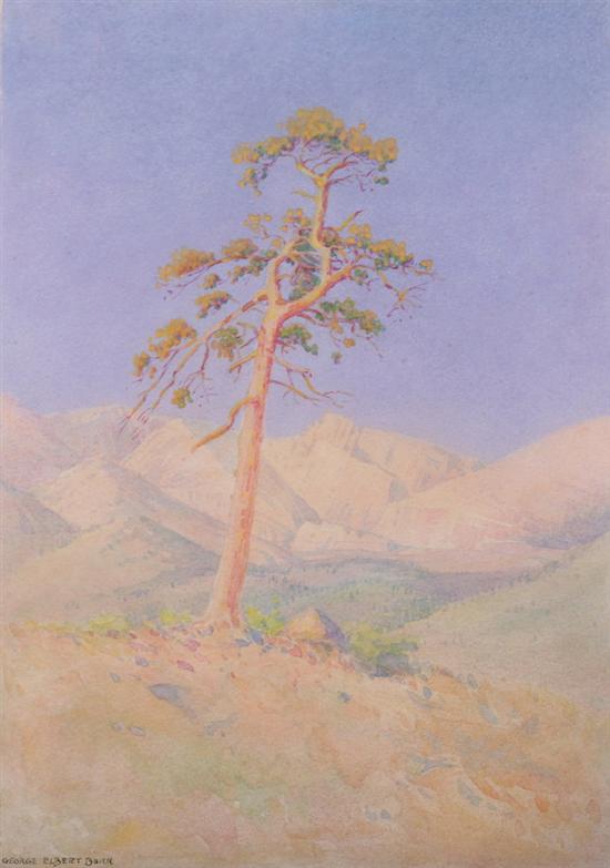 Appraisal: GEORGE ELBERT BURR American - LONE TREE signed lower right