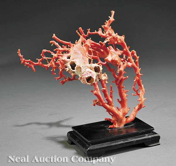 Appraisal: A Chinese Polished Coral Branch Specimen naturalistic form with multiple