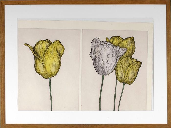 Appraisal: Steven Barbash American b Four Tulips Etching with hand coloring