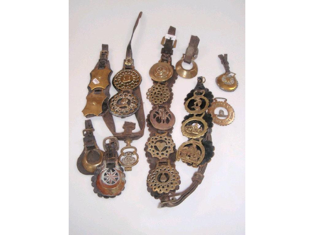 Appraisal: Horse brasses including martingale and fly terret